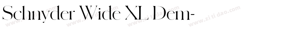 Schnyder Wide XL Dem字体转换